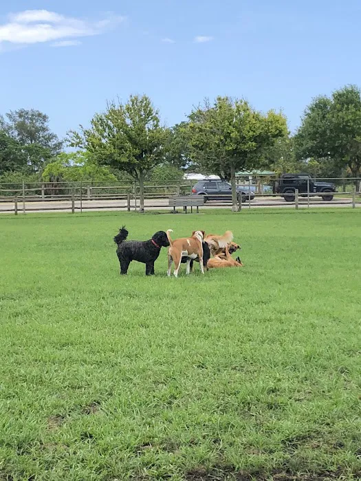 Lake Ida Dog Park 5