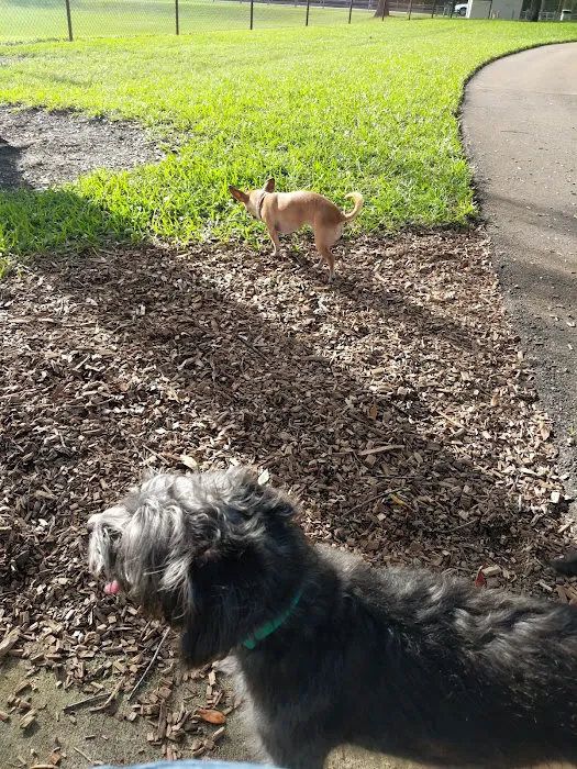 Lake Ida Dog Park 8