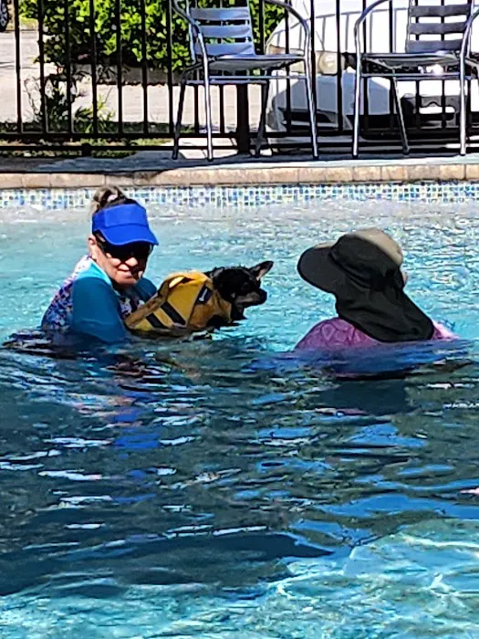 Jessie’s Pool Canine Hydrotherapy 3