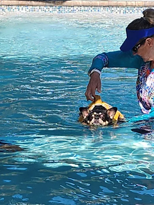 Jessie’s Pool Canine Hydrotherapy 2