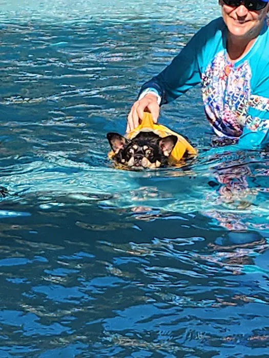 Jessie’s Pool Canine Hydrotherapy 4