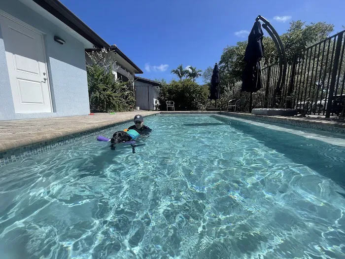 Jessie’s Pool Canine Hydrotherapy 9
