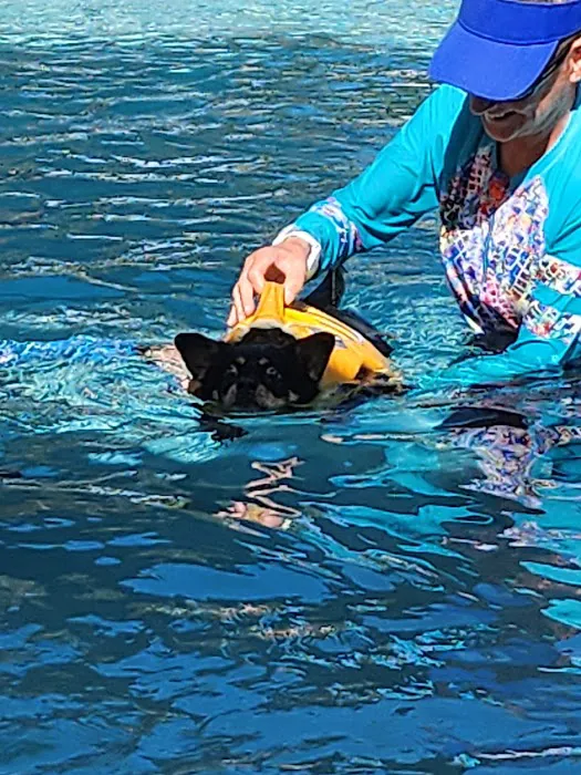 Jessie’s Pool Canine Hydrotherapy 5