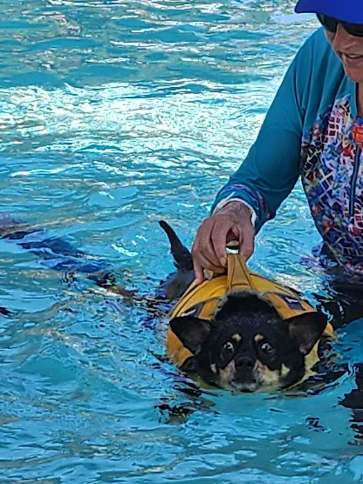 Jessie’s Pool Canine Hydrotherapy 1