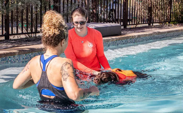 Jessie’s Pool Canine Hydrotherapy 7