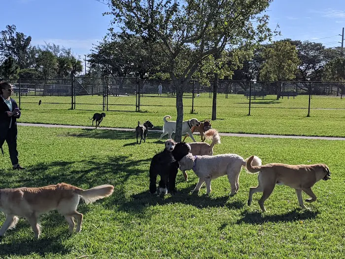 Lake Woof Dog Park 8