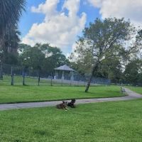 Lake Woof Dog Park ico