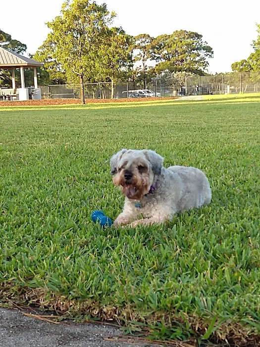 Lake Woof Dog Park 9