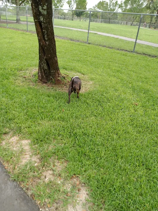 Pooch Pines Dog Park 4