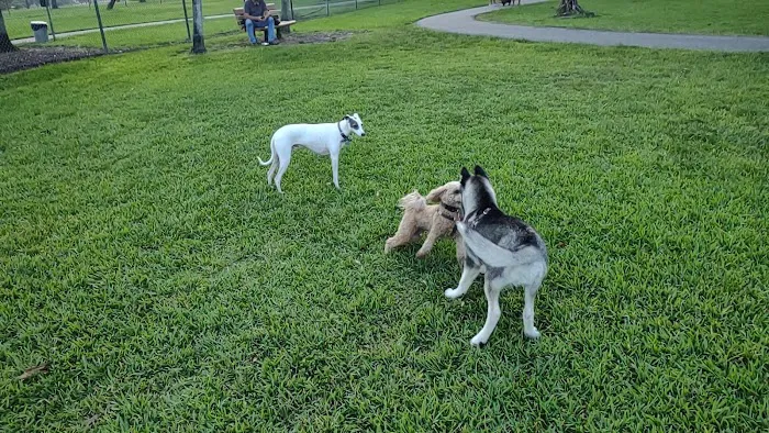 Pooch Pines Dog Park 2