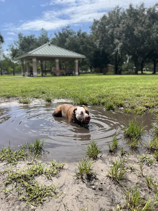 Wellington Dog Park 4