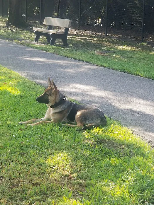 Wellington Dog Park 7