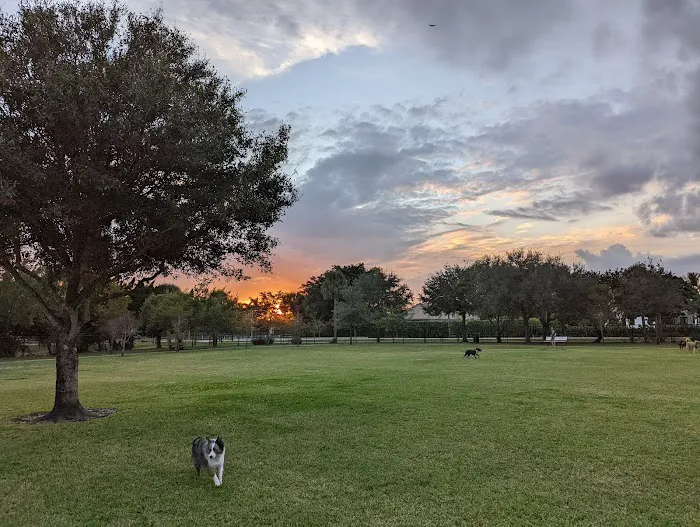 Wellington Dog Park 8