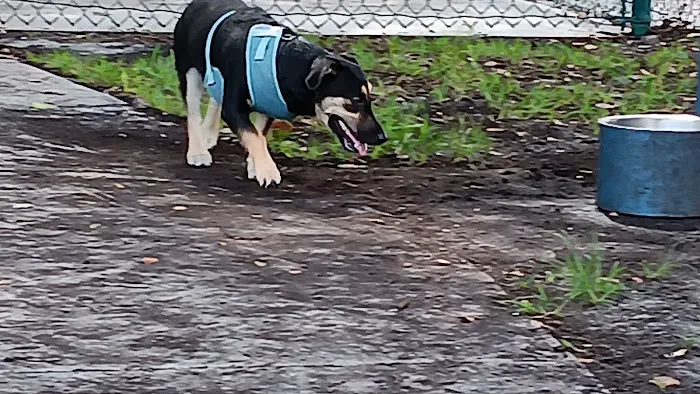Village Paws Park 3