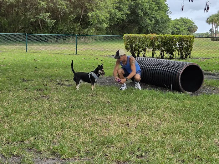 Village Paws Park 7
