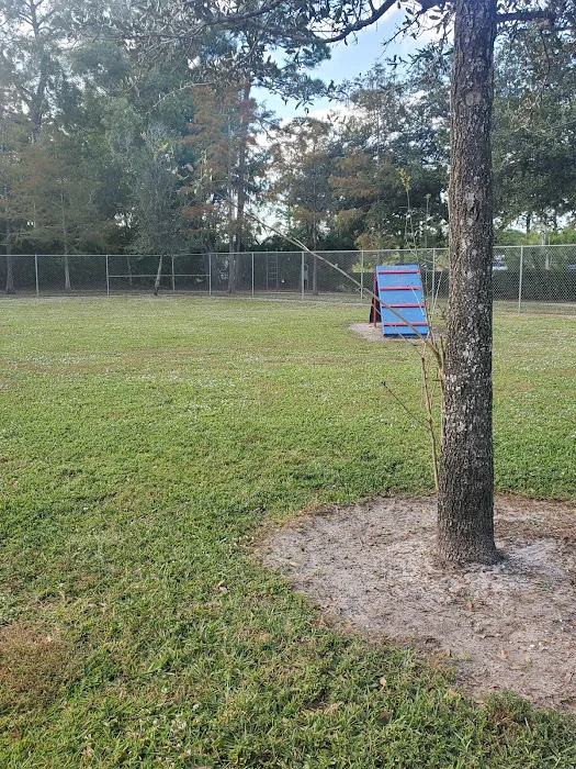 Downers Dog Park 8