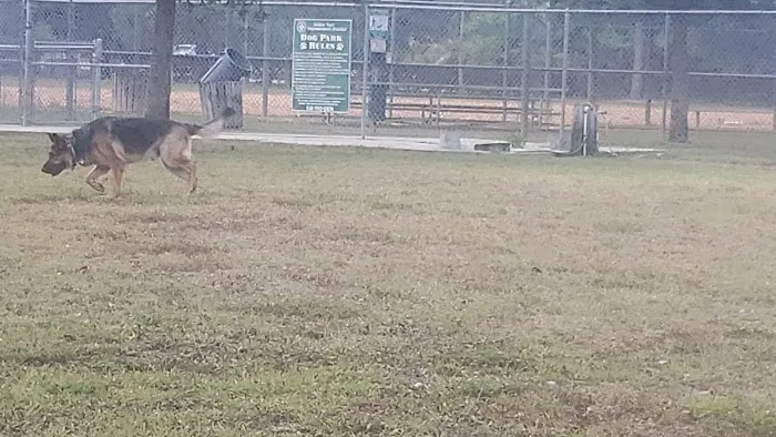 Downers Dog Park 7