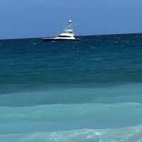 Dog beach ico