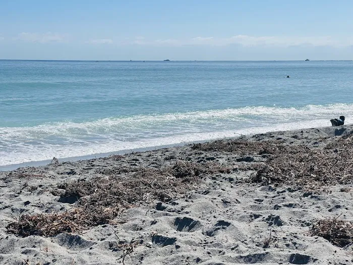 Dog beach 8