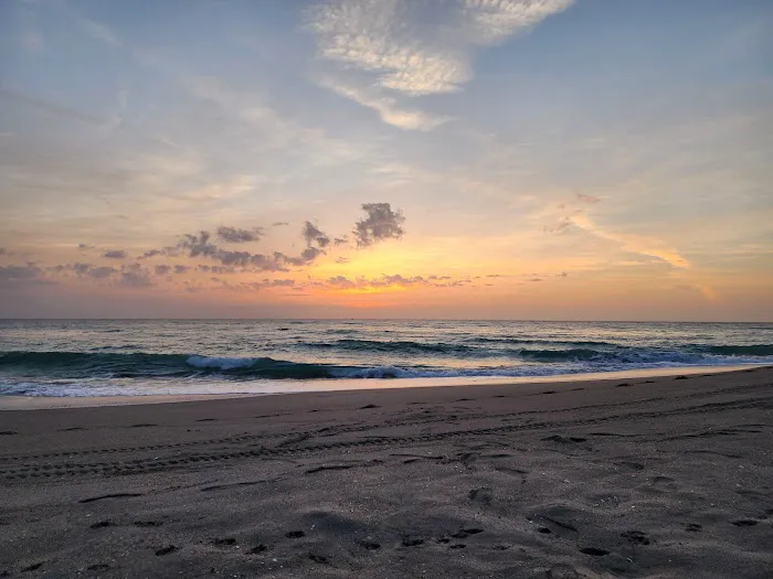Dog beach 5