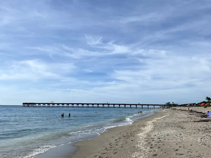 Dog beach 3