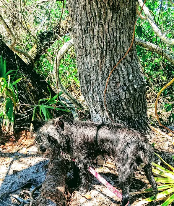 FIND dog park 9