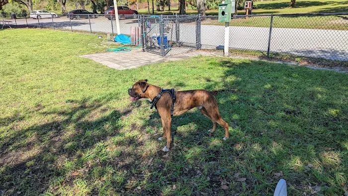 FIND dog park 4