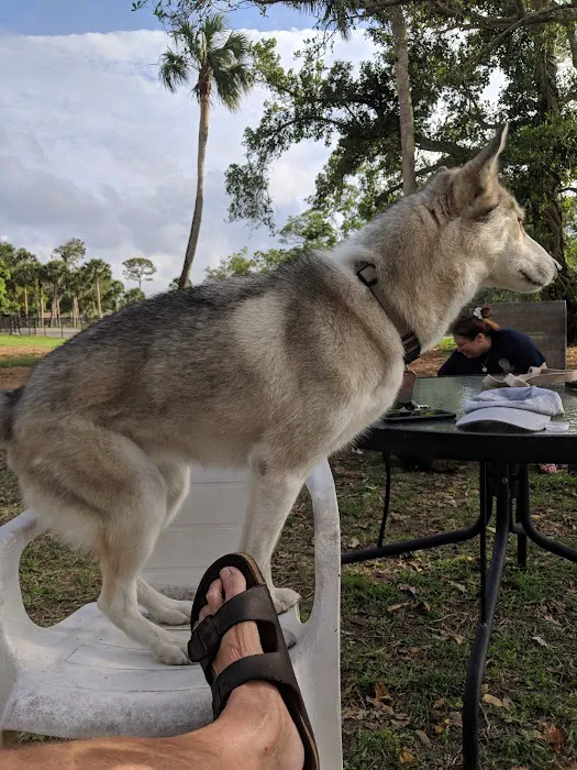 FIND dog park 10