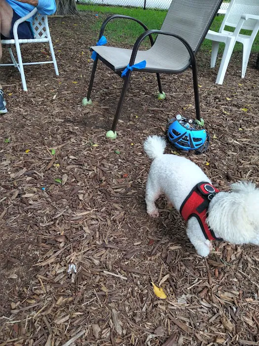 FIND dog park 2