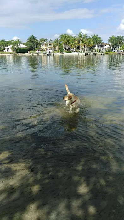 FIND dog park 3
