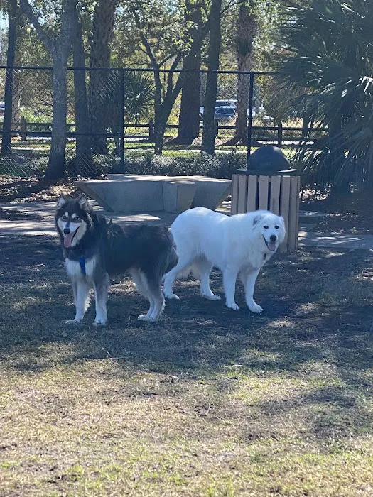 Cinquez Park 2