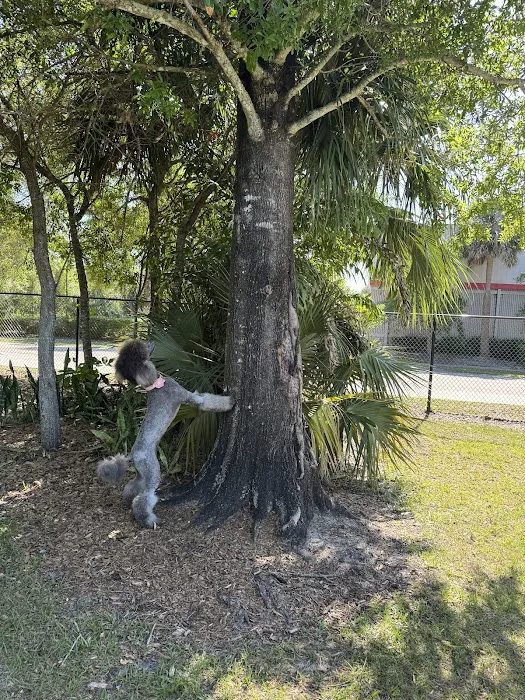 Cinquez Park 8