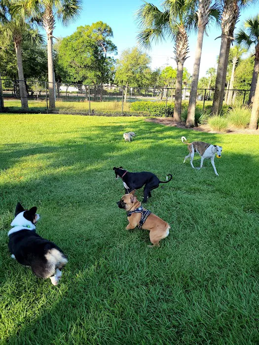 Cinquez Park 5