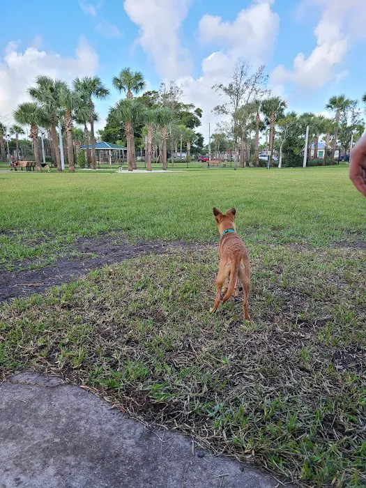 Cinquez Park 7