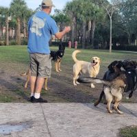 Cinquez Park ico