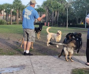 Cinquez Park
