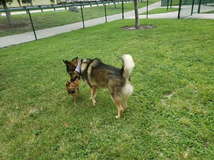 K-9 Cove 3
