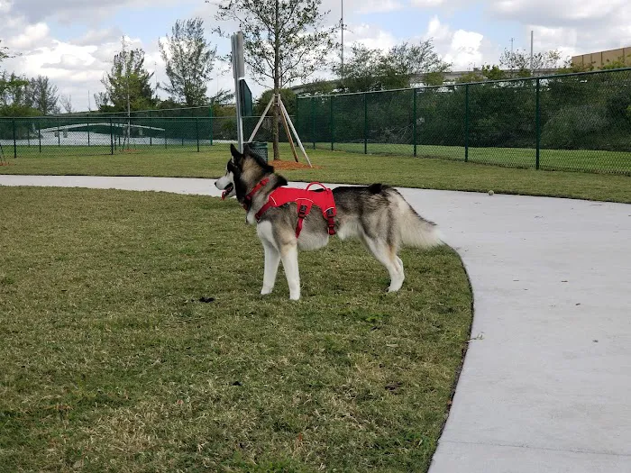 K-9 Cove 9