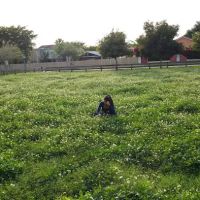 Spanish Lake Park ico