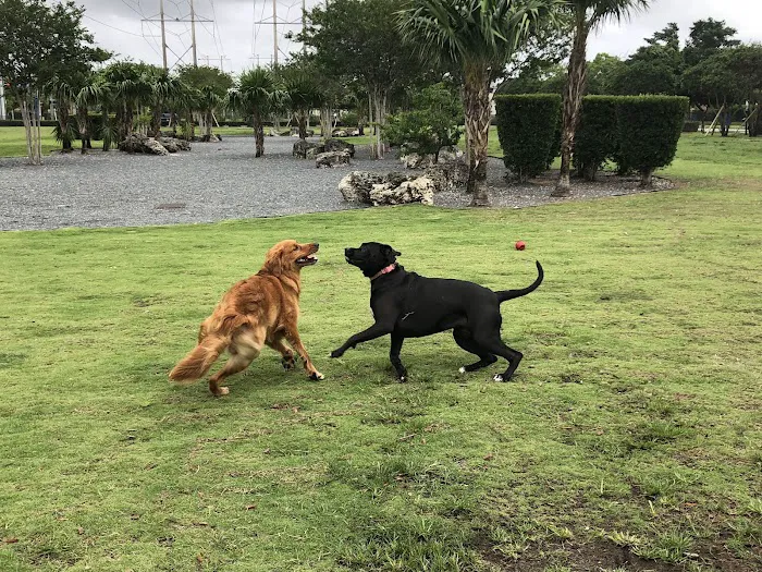 Trails & Tails Park 10