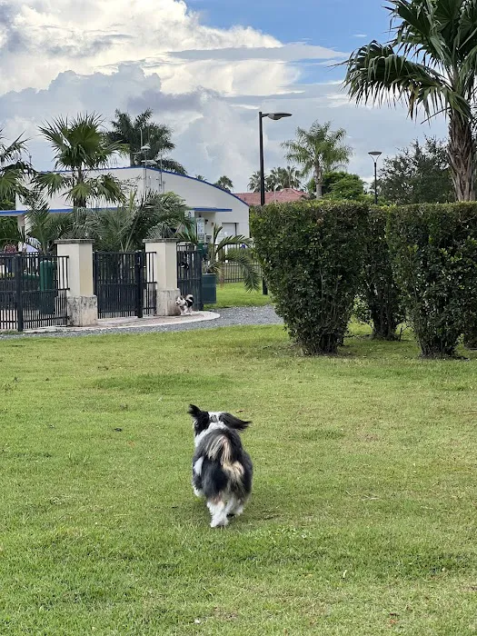 Trails & Tails Park 5