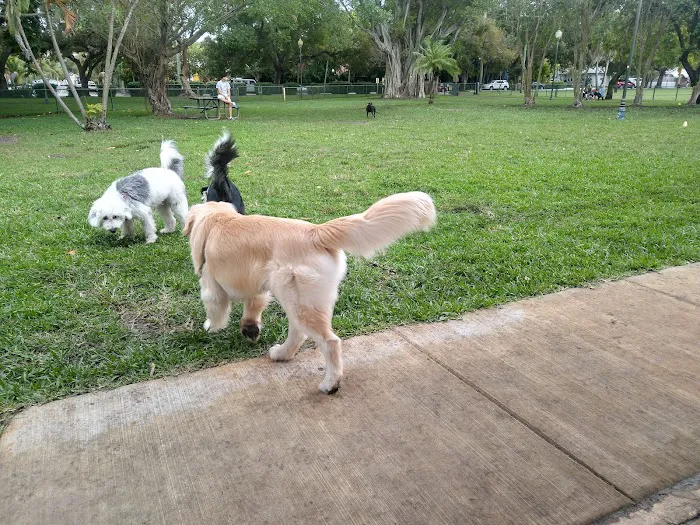 City Paws Dog Park 5