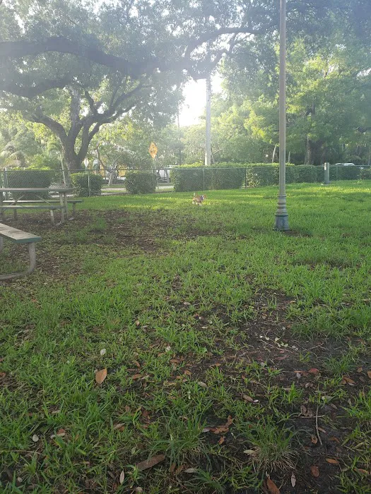 City Paws Dog Park 6