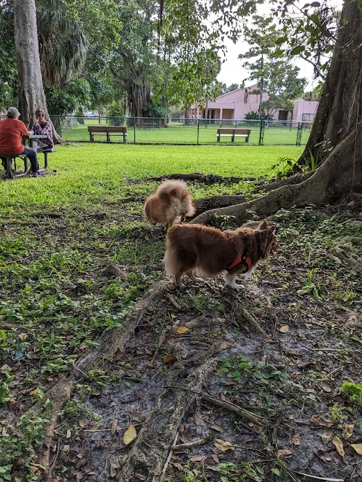 City Paws Dog Park 10