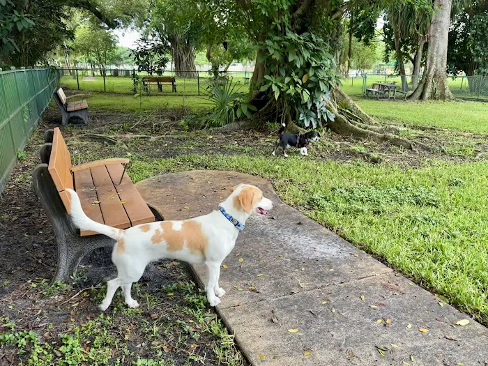 City Paws Dog Park 9