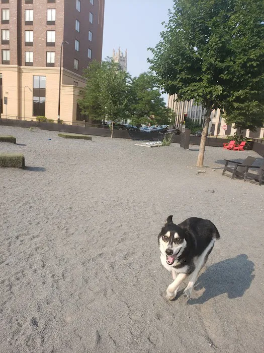 Gateway Dog Park 1
