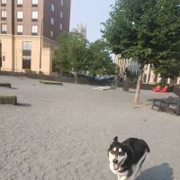 Gateway Dog Park ico