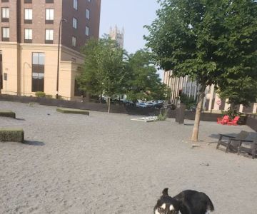 Gateway Dog Park