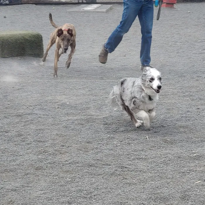 Gateway Dog Park 2