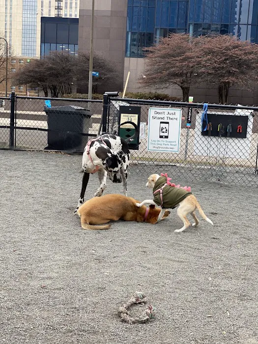 Gateway Dog Park 8
